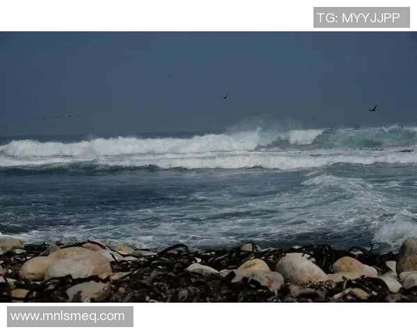 大海浪足球:探索海洋与运动的完美结合与激情碰撞 大海浪足球:探索海洋与运动的完美结合与激情碰撞