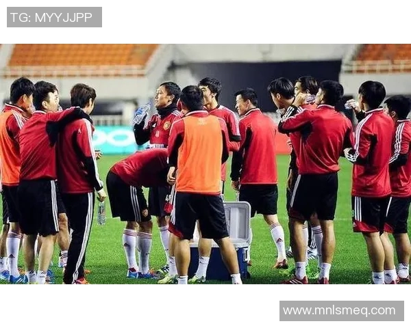 足球违规上人事件引发热议球场安全与体育精神的双重考验