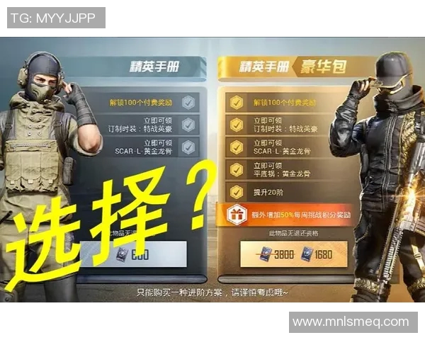 和平精英V5个人能力分析与提升策略探讨